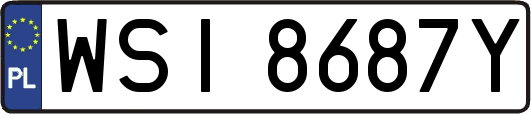 WSI8687Y