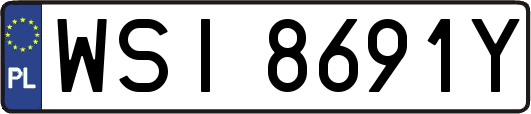 WSI8691Y