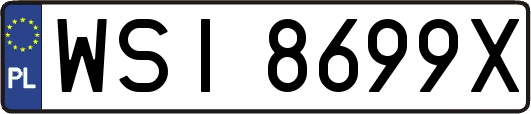 WSI8699X
