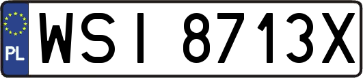 WSI8713X