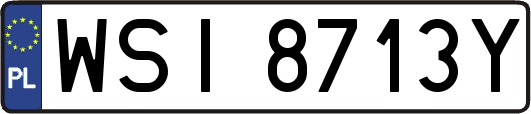 WSI8713Y