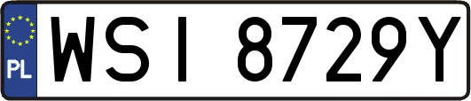 WSI8729Y