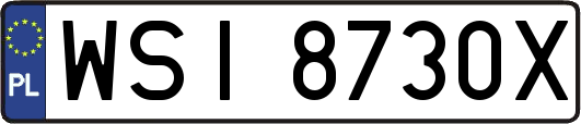 WSI8730X