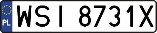 WSI8731X