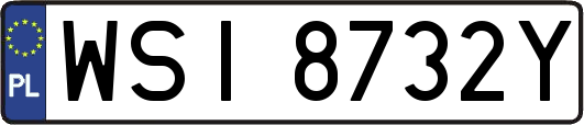 WSI8732Y