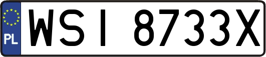 WSI8733X