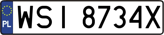 WSI8734X