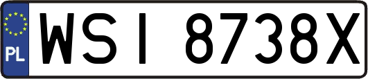 WSI8738X