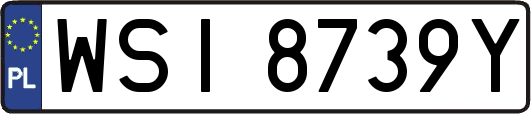 WSI8739Y