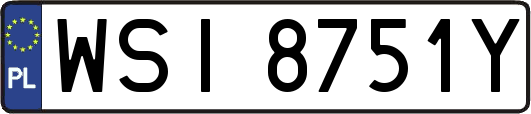 WSI8751Y