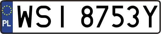 WSI8753Y
