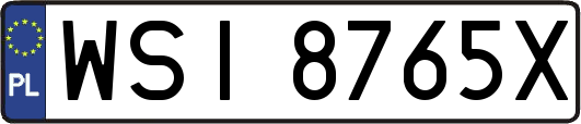 WSI8765X