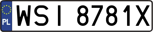 WSI8781X