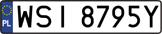 WSI8795Y