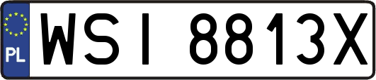 WSI8813X