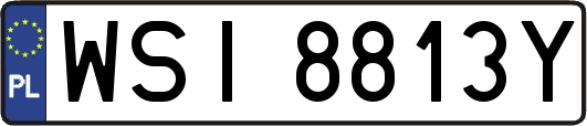 WSI8813Y
