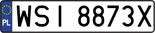 WSI8873X