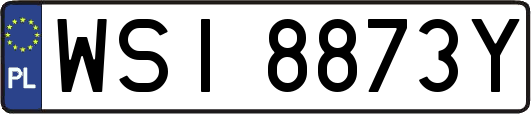 WSI8873Y