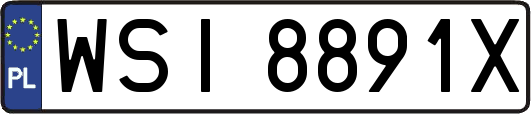 WSI8891X