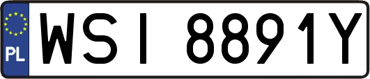 WSI8891Y