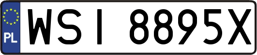 WSI8895X