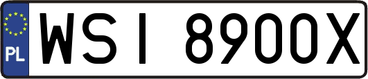 WSI8900X