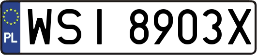 WSI8903X