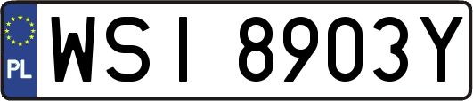 WSI8903Y