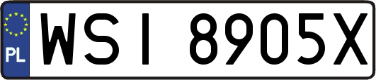 WSI8905X