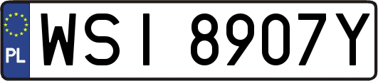 WSI8907Y