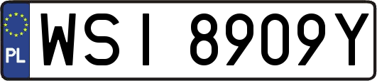 WSI8909Y