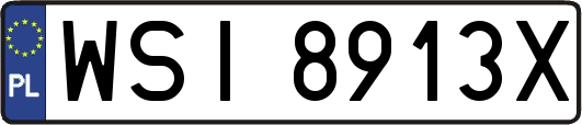 WSI8913X