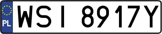 WSI8917Y