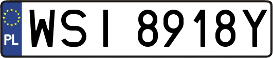 WSI8918Y