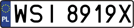WSI8919X
