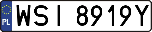 WSI8919Y