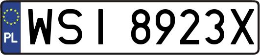 WSI8923X