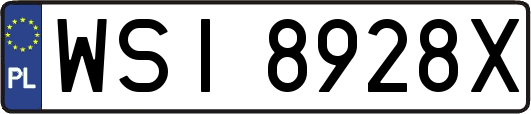 WSI8928X