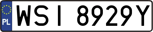 WSI8929Y
