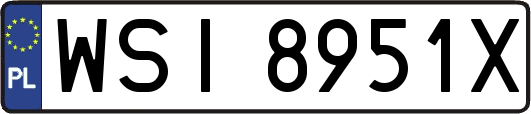 WSI8951X