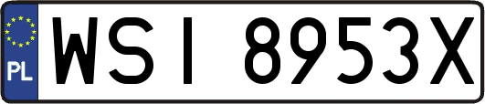 WSI8953X