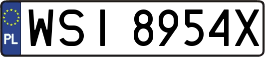 WSI8954X