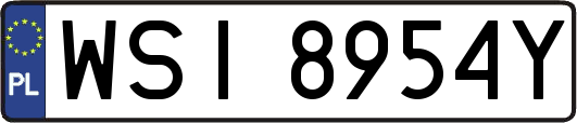 WSI8954Y