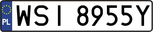 WSI8955Y