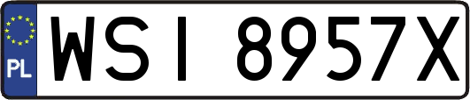WSI8957X
