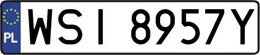WSI8957Y