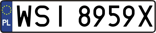 WSI8959X
