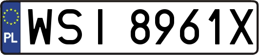WSI8961X