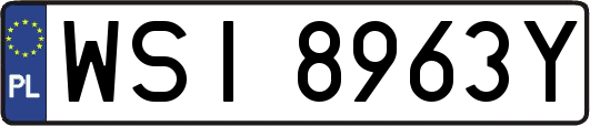 WSI8963Y