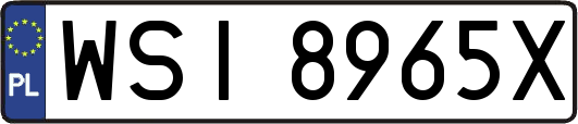 WSI8965X